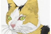 イラスト「猫　ネコ　ねこ　動物　生き物」徳永貴文